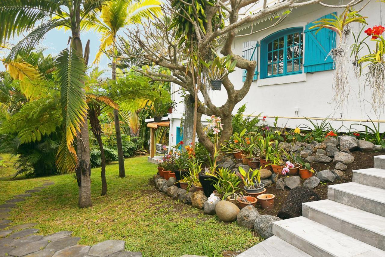 Bed and Breakfast Le Jacaranda Du Guillaume Le Guillaume Exterior foto